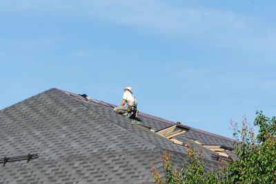Professional Roofing Work